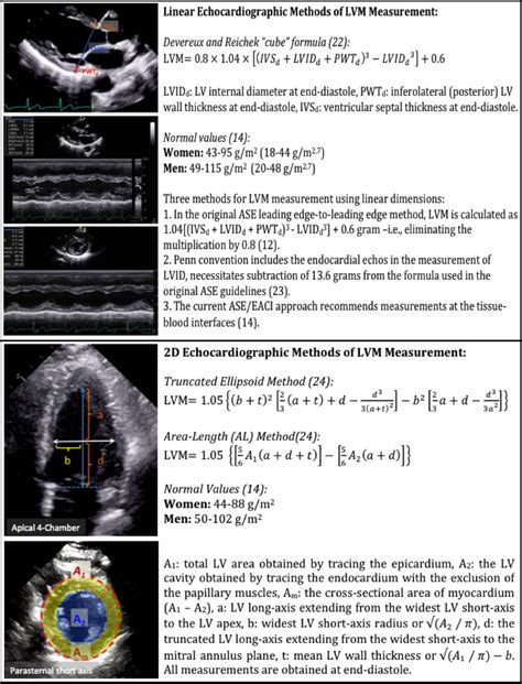2d echo result